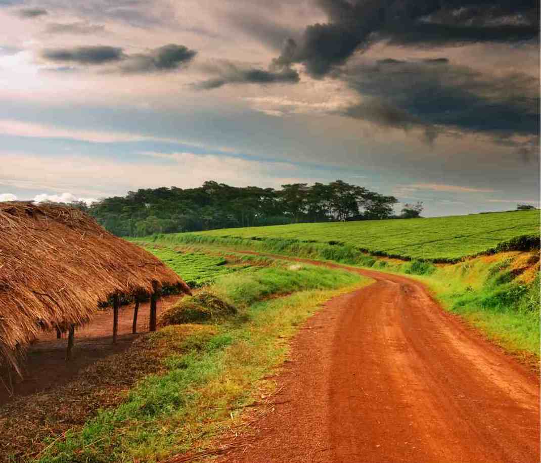 Orange dirt road passing a straw roof hut heading into lush green mountains.