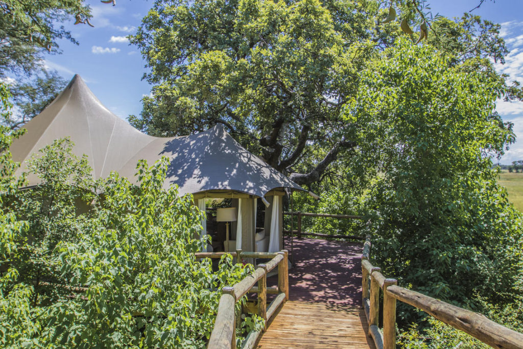 Nambwa Tented Lodge Room View