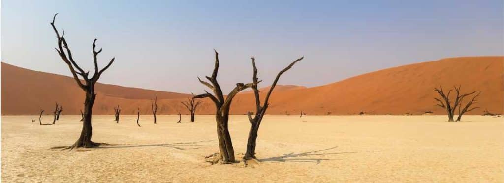 View of Deadvlei and dead trees in namibia