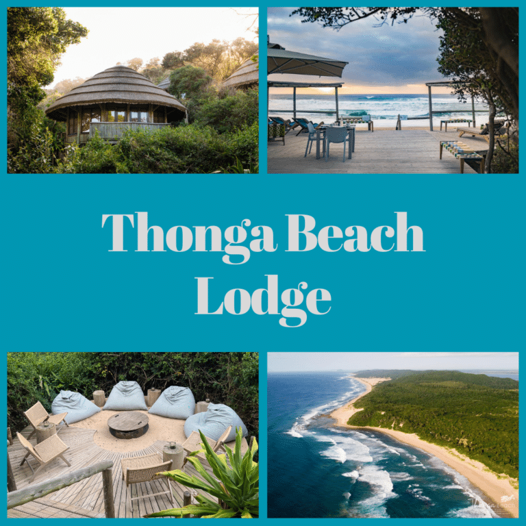 Thonga Beach Lodge