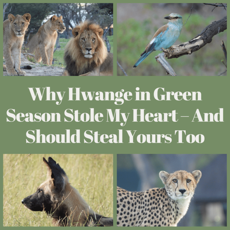 Hwange Green Season