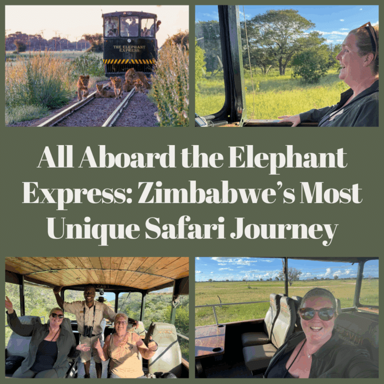 Elephant Express Blog