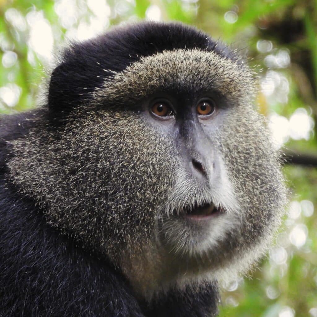 AD19CF48 DC46 45C0 982A 702E0429CD93