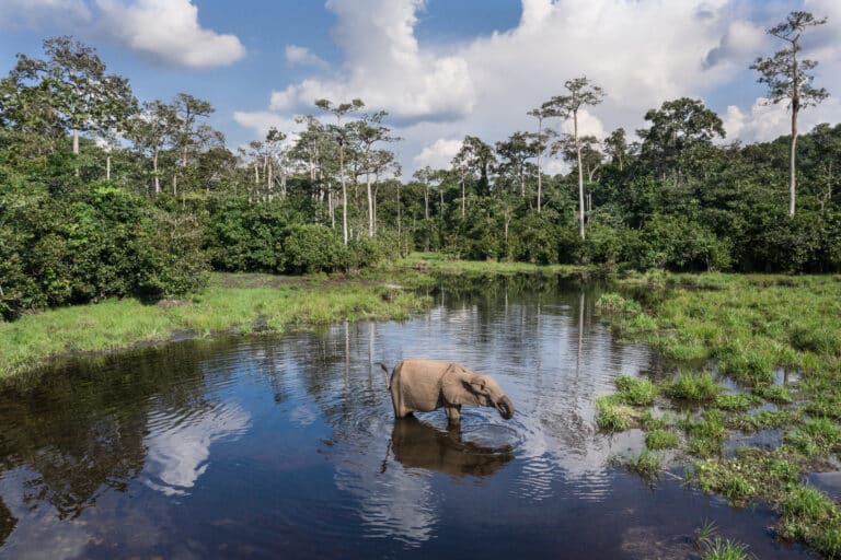 Kamba scott ramsey061