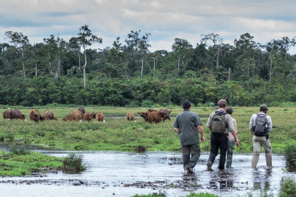 Kamba scott ramsey172