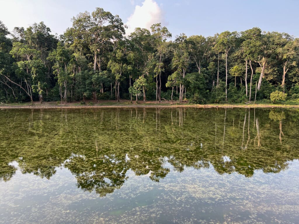 Wali Bai Nouabale Ndoki NP© Expeditions Ducret 1