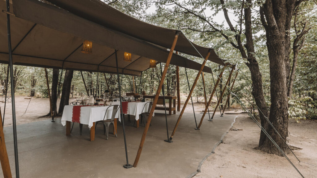 1741701989432 CAMPSITE by @czworonas3