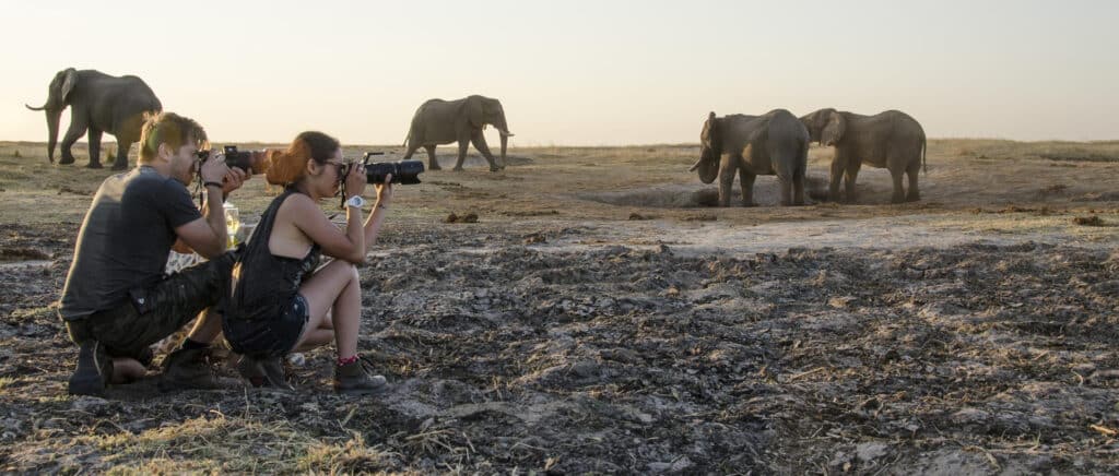29. imvelo safari lodges nehimba sundowners at the seeps