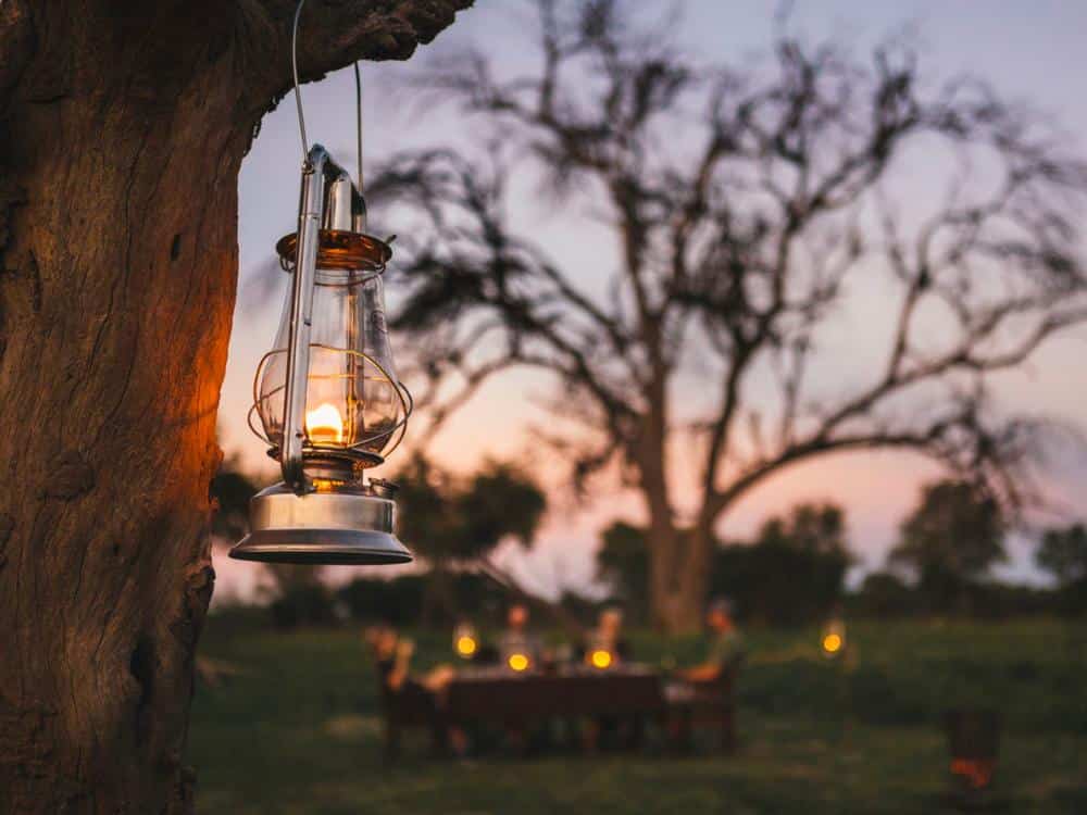 Dinner under the stars
