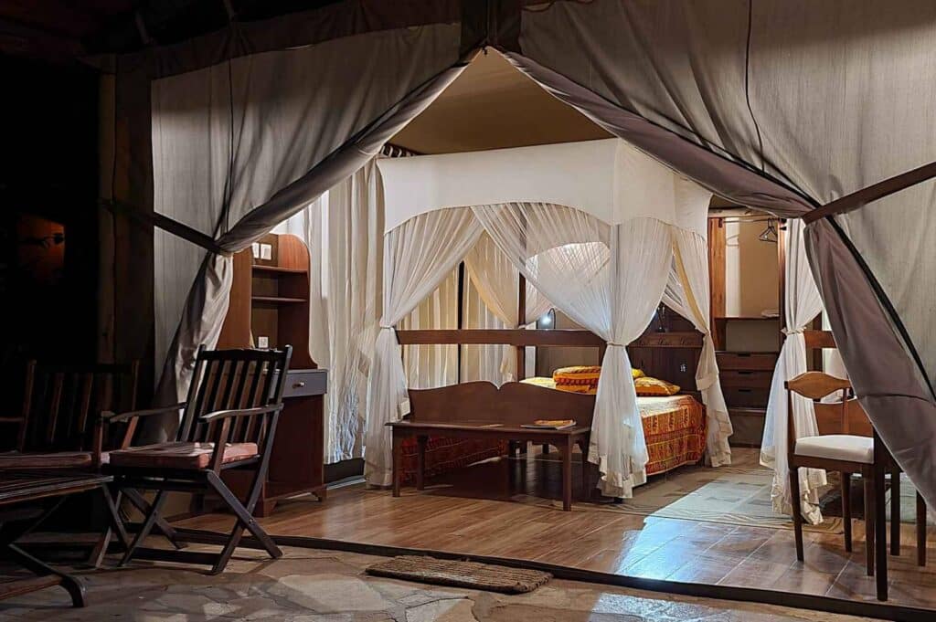 EXTRA FIG TREE CAMP PHOTOS 5 scaled 1