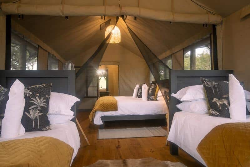 Family luxury tent