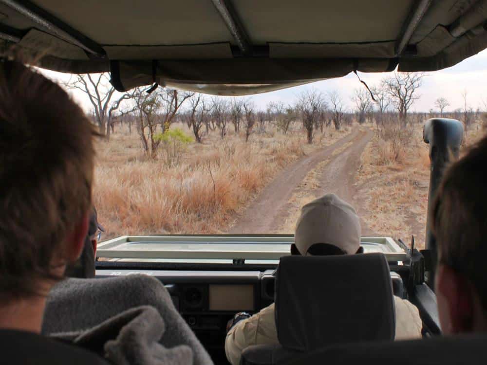Game drive