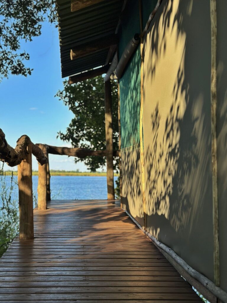 IMG 7576 min 1536x2048 1