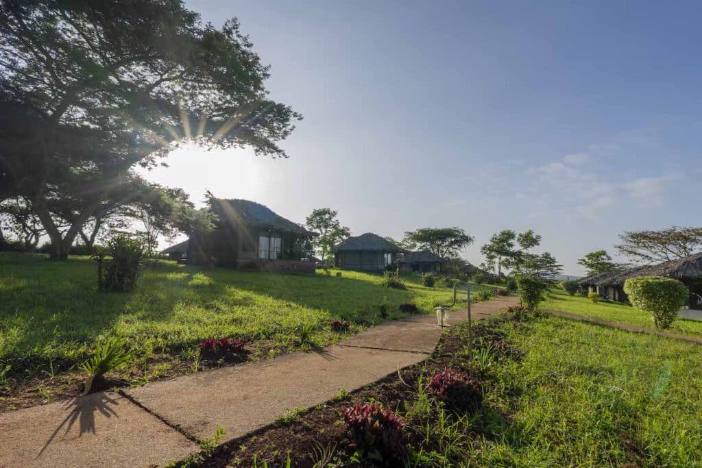 Karatu Simba Outdoor 25