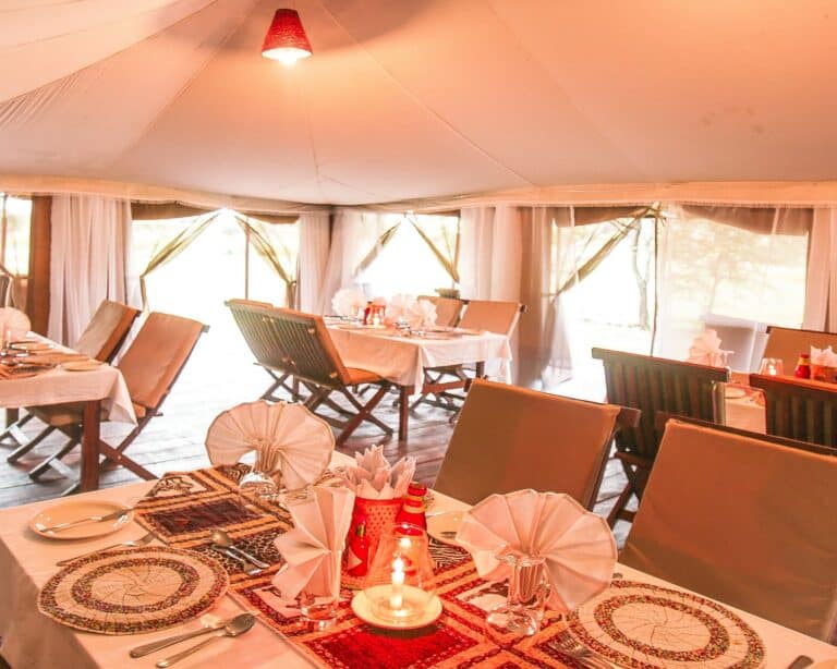 Kisura Camps IMG 20200215 081917 446 768x614 1