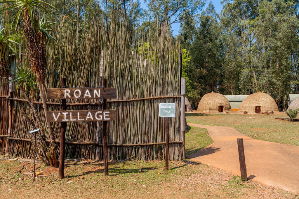 Mlilwane Game Sanctuary 8