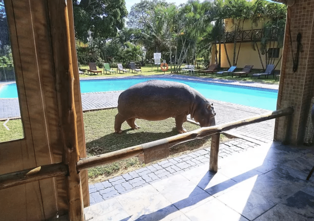 Screenshot 2025 12 30 at 18.52.02