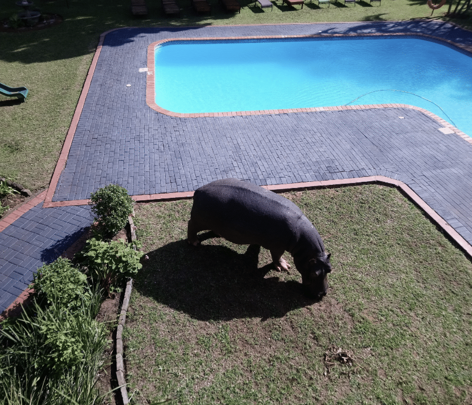 Screenshot 2025 12 30 at 18.52.44