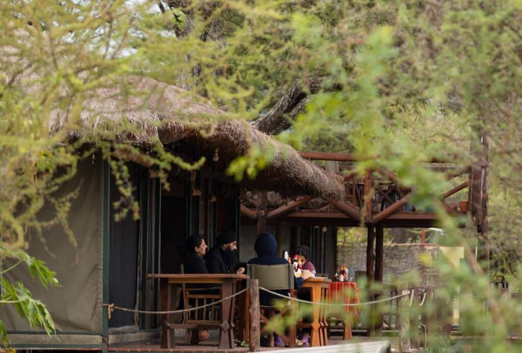 Simba Lodge