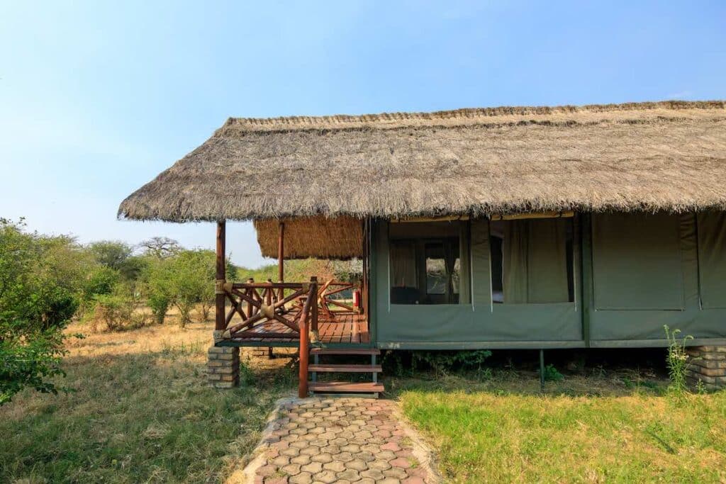 Simba Lodge12