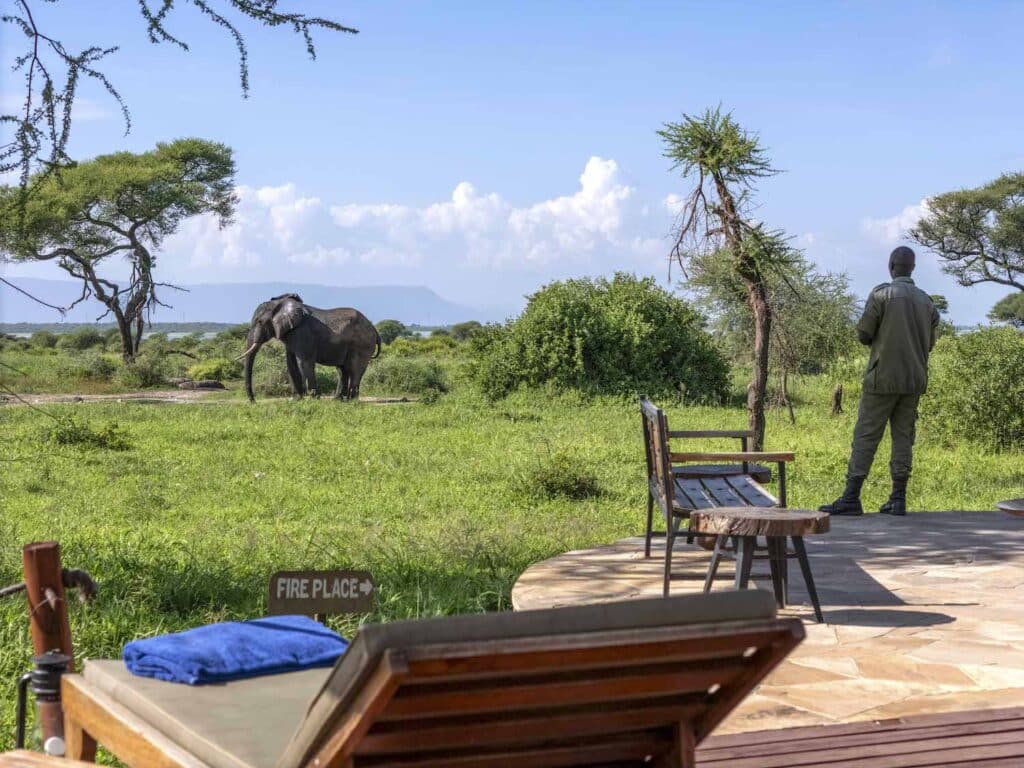 Tarangire Simba Ariel 183