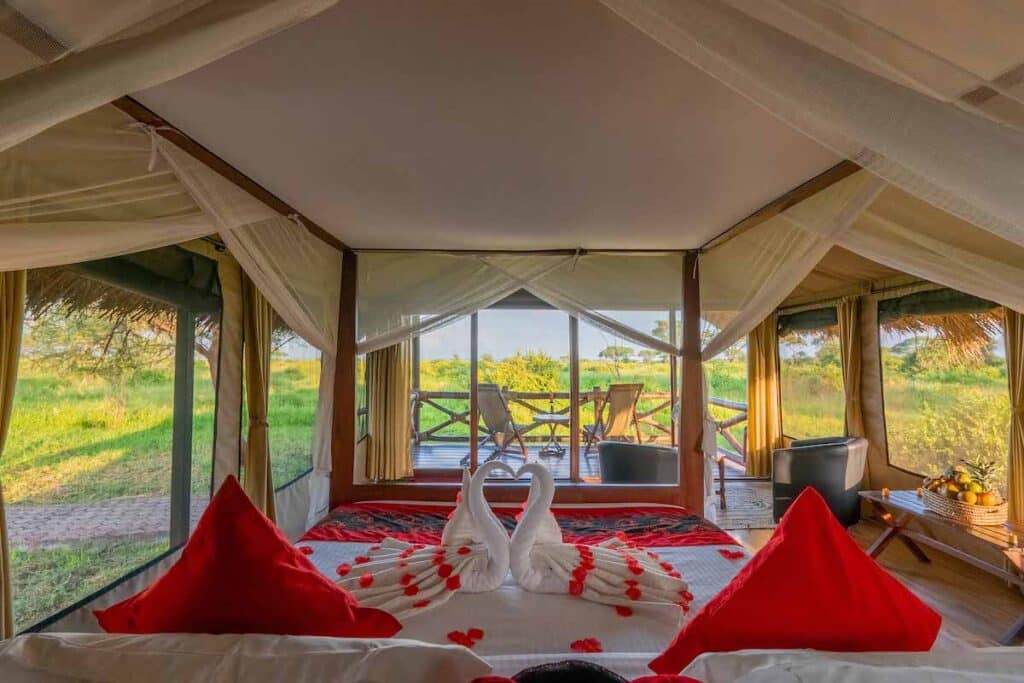 Tarangire Simba Honeymooners 32 1