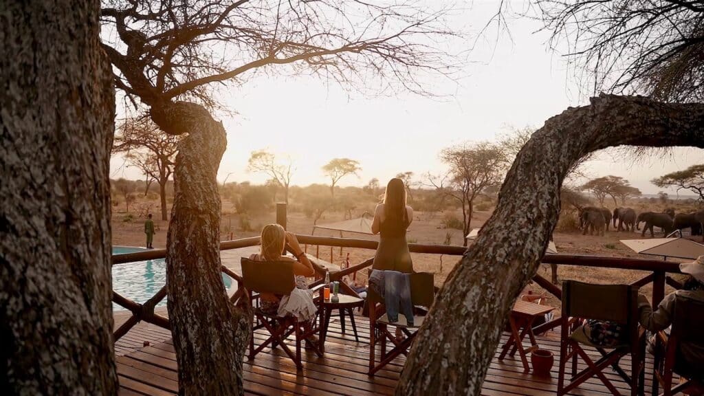 Tarangire Simba Lodge19