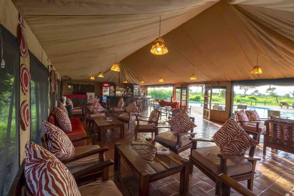 Tarangire Simba Lounge 11