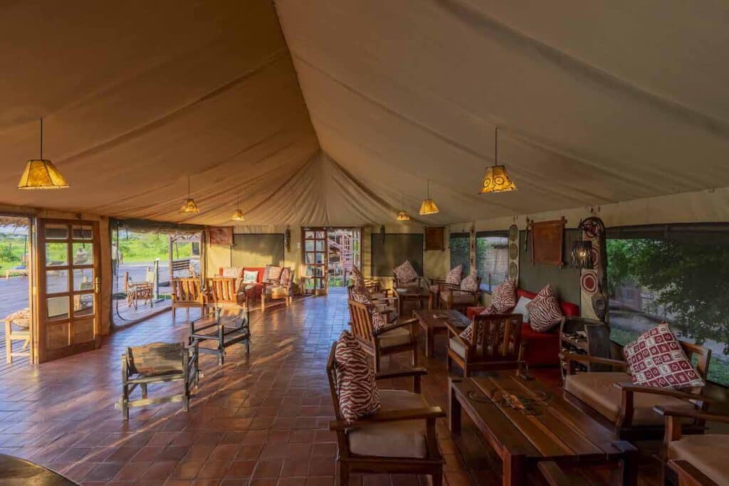 Tarangire Simba Lounge 23 2