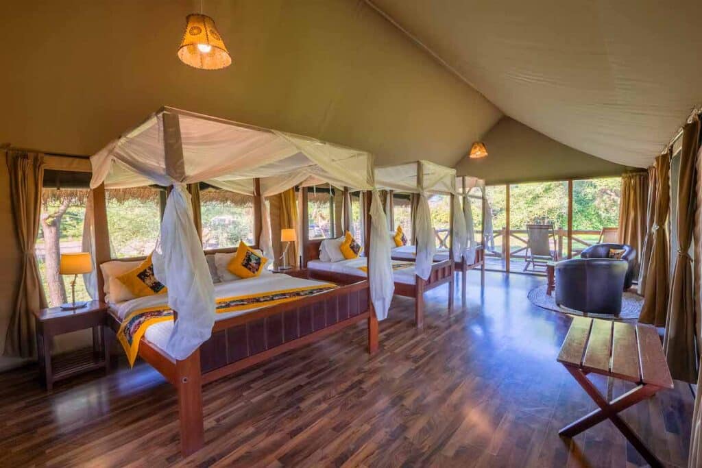 Tarangire Simba Triple 14 1