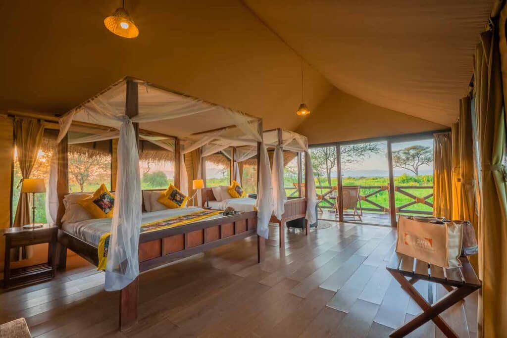 Tarangire Simba Twin 3