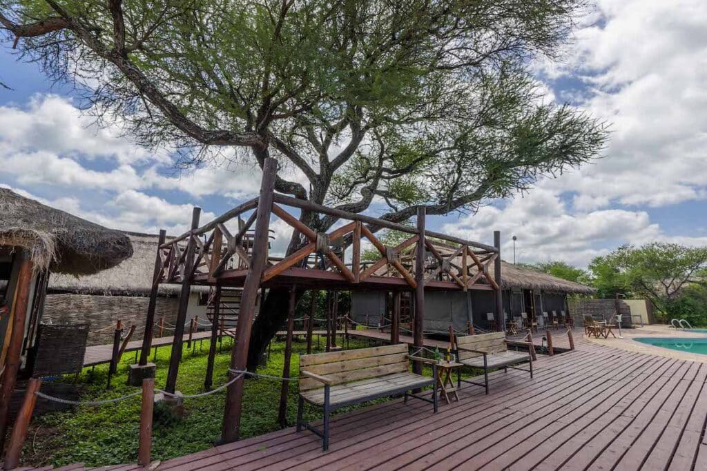 Tarangire Simba Viewing Deck 55