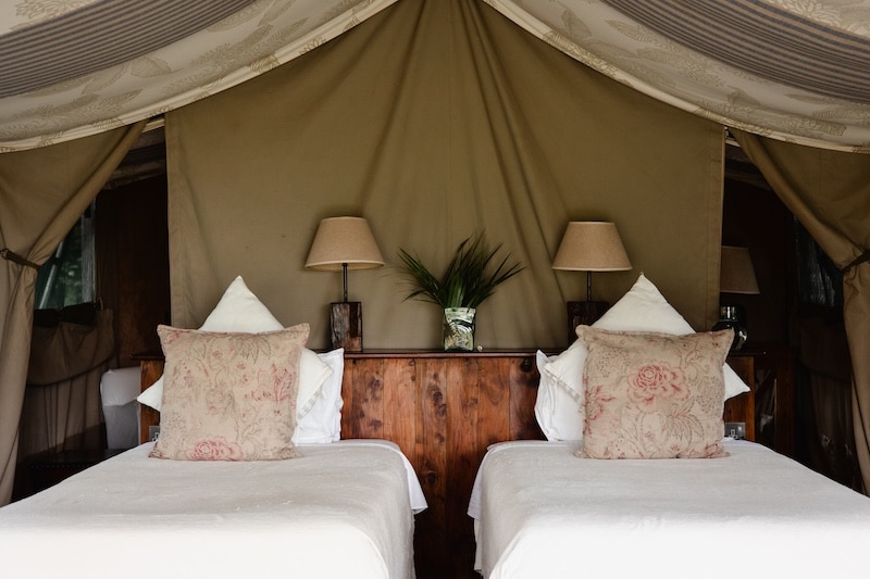 Tent Interior 3 2025 TC 1