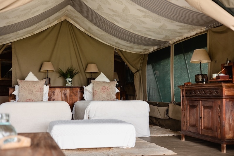 Tent Interior 5 2025 TC 1