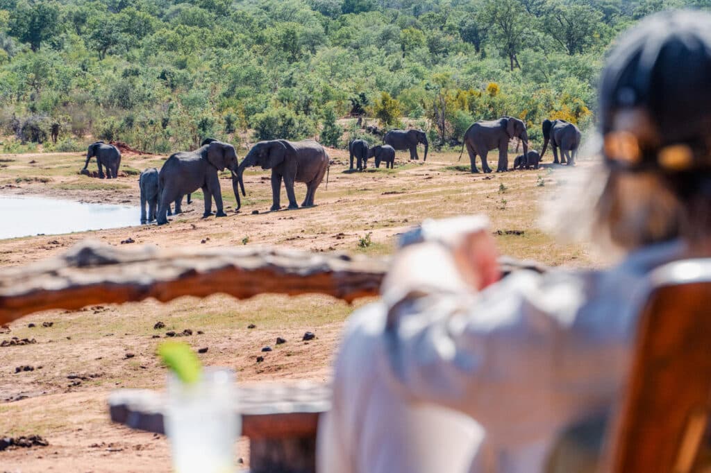 View From Ivory Hide