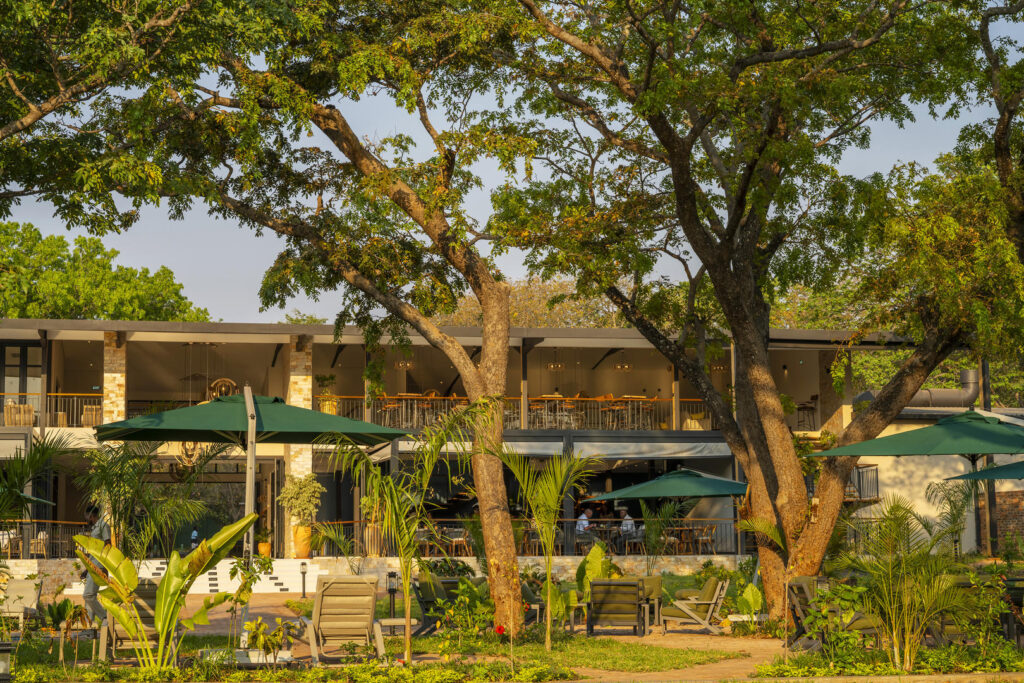 Waterfalls Lodge Trees