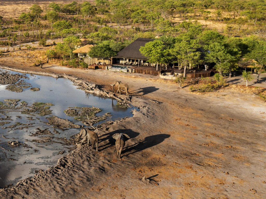 Watering hole in front of the main area