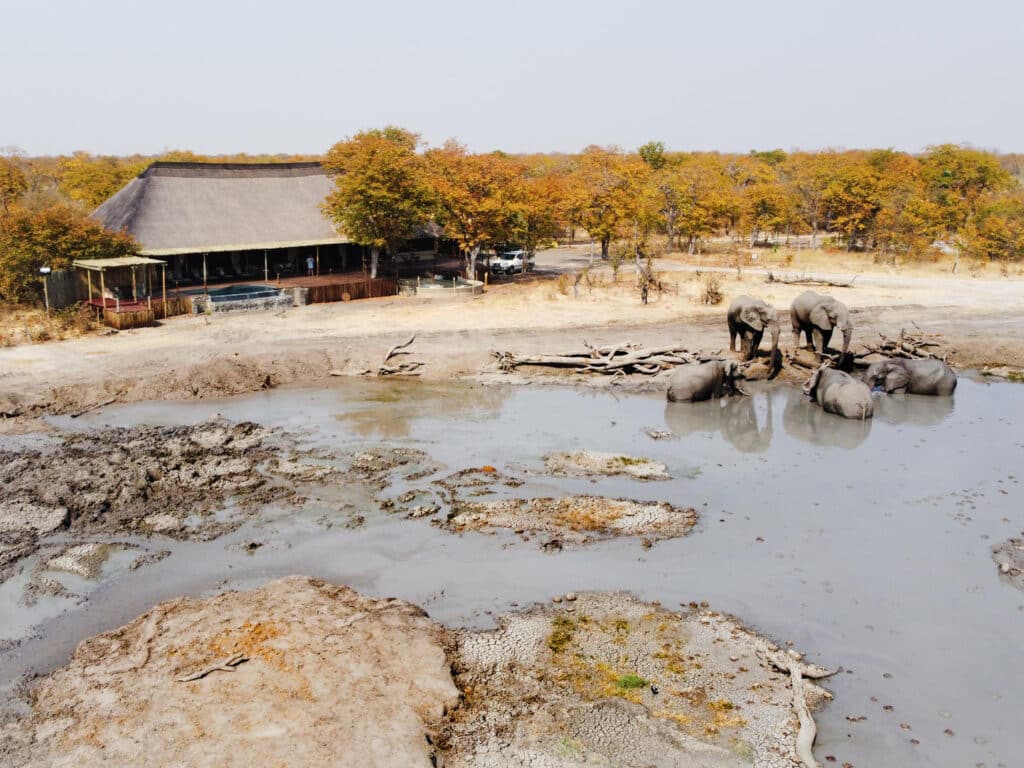 Watering hole in front of the main area 1