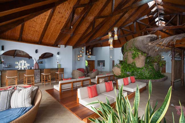 1735626034816 CDM Black Parrot lounge 03