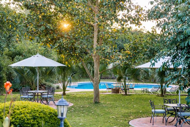 1756462236868a749771pionnerspa