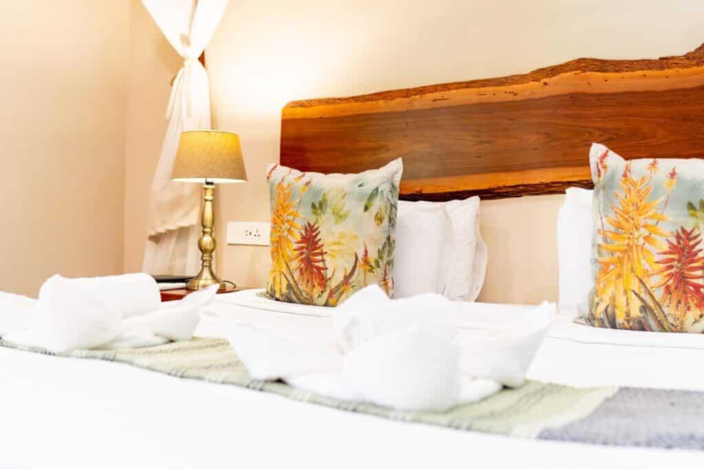 DSC01068@Bayete scaled 1