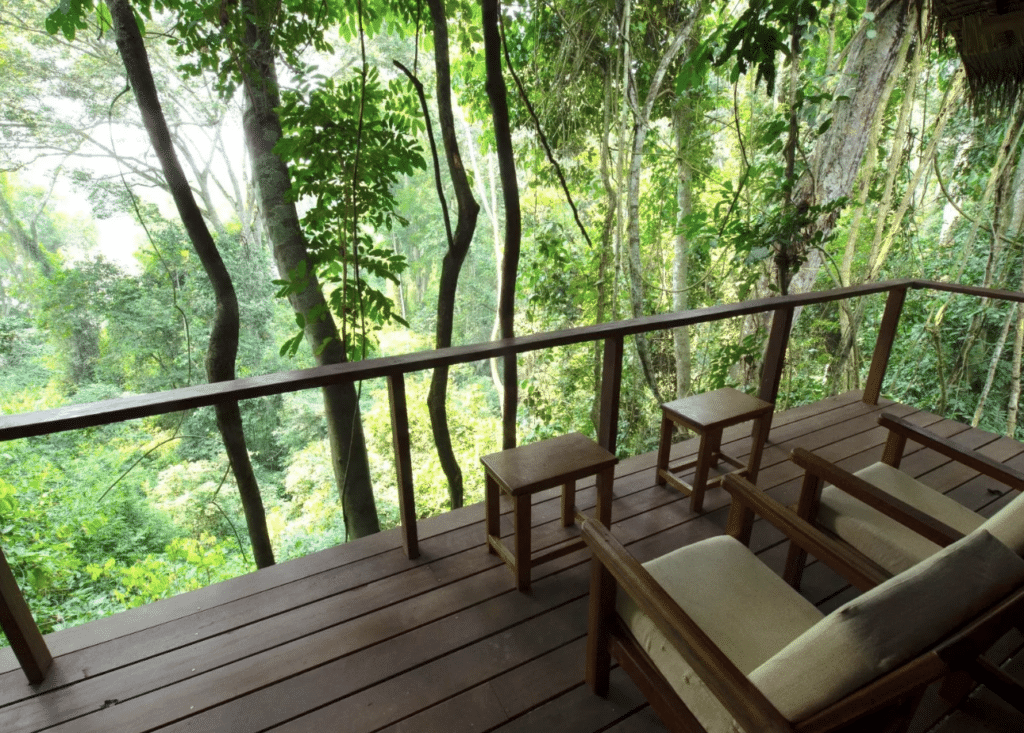 Screenshot 2026 01 04 at 19.57.12