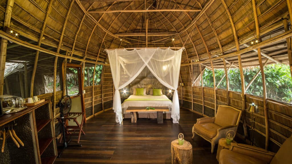 ngaga camp e2016 odzala alh 431