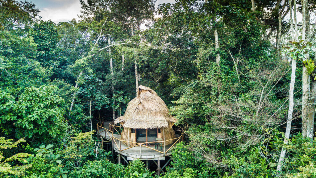 odzala lango camp room and setting scott ramsay