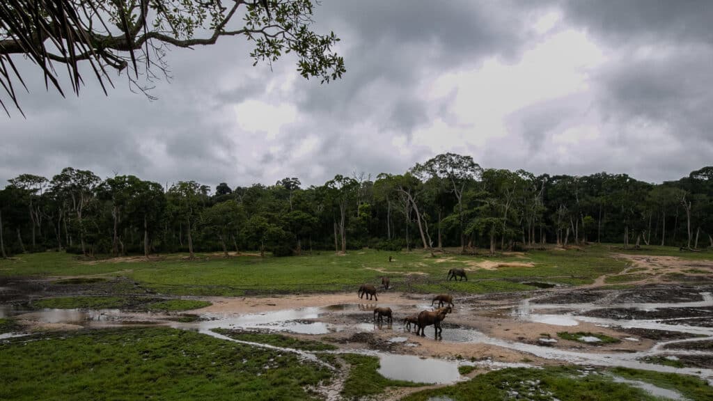 sangha lodge copyright jacha potgieter 8