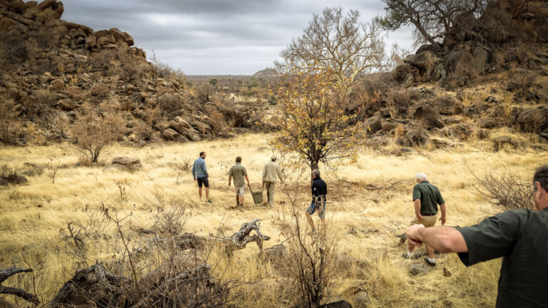 koro river experience 44447 medium