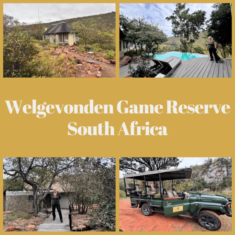 Welgevonden Game Reserve
