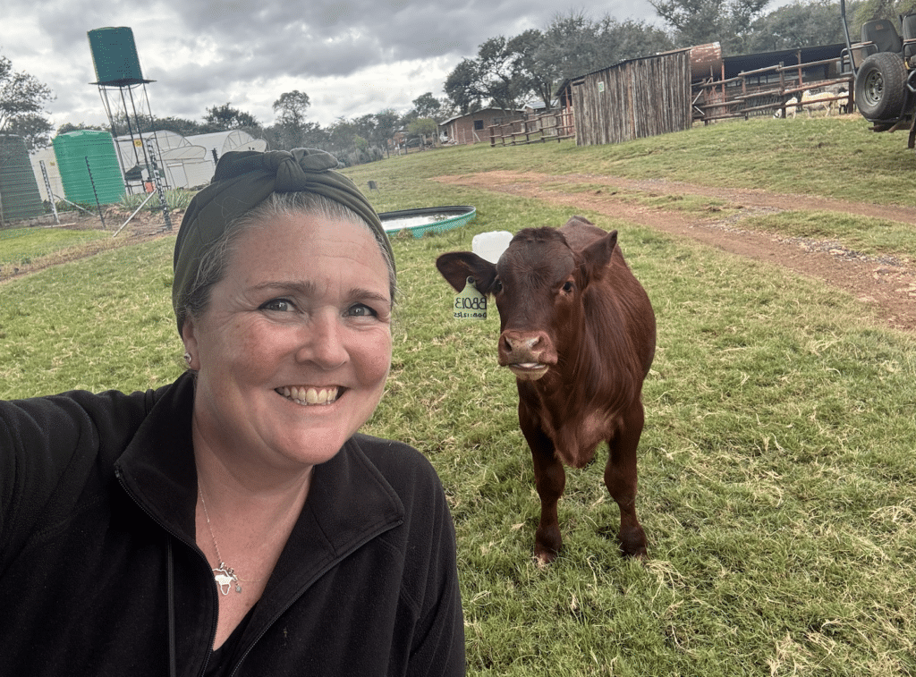 Sarah with a cow at Laluka Farm in Welgevonden Game Reserve